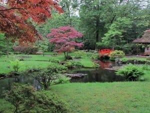 hidden city object adventure + japanese garden